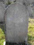 image of grave number 295135